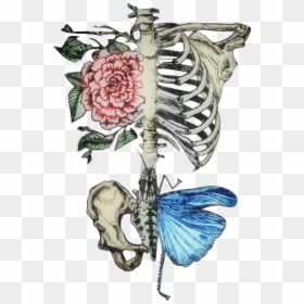 #skeleton #ribcage #roses #floral #bonewitch #humanbones - Floral Rib Cage Skeleton Tattoo, HD Png Download - ribcage png