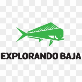 Thumb Image - Fin, HD Png Download - tecate logo png