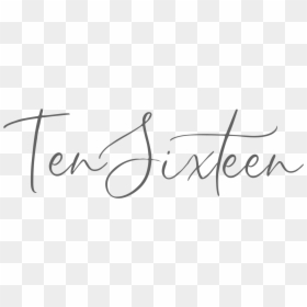 Calligraphy, HD Png Download - steve skin png