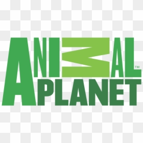 Animal Planet Logo 2008, HD Png Download - animal planet logo png