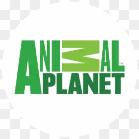 Animal Planet Logo Png , Png Download - Circle, Transparent Png - animal planet logo png