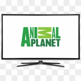 Transparent Animal Planet Png - Led-backlit Lcd Display, Png Download - animal planet logo png