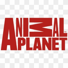 Animal Planet Logo Png, Transparent Png - animal planet logo png