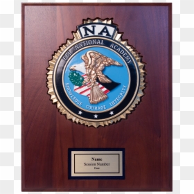 Fbina Color Seal Plaque - Hackers And Law Enforcement, HD Png Download - fbi seal png