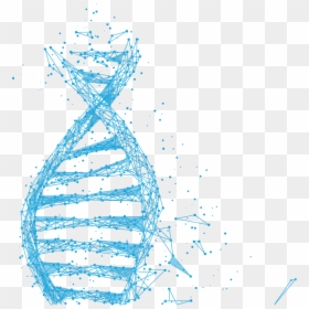Celulas Tronco Png, Transparent Png - tronco png