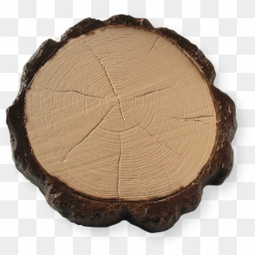 Troncobicolor - Tree Stump, HD Png Download - tronco png