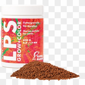 Soil, HD Png Download - corals png