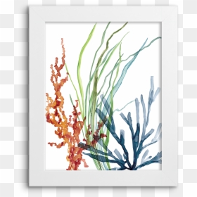 Canvas Print, HD Png Download - corals png
