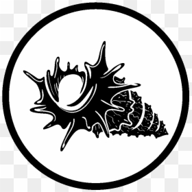 Transparent Aureola Png - Siluetas De Ostras, Png Download - makers mark png