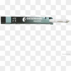 Eye Liner, HD Png Download - corals png