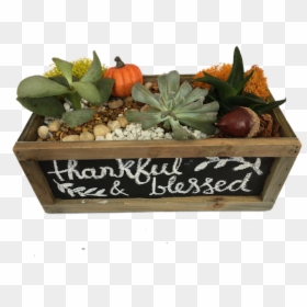 Thanksgiving Chalkboards Hd, HD Png Download - mellow mushroom logo png