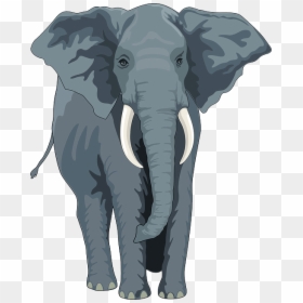Free Animal Picture - Elephant Front View Clipart, HD Png Download - elephant vector png