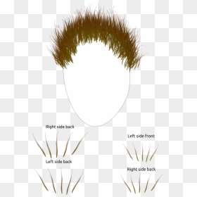 Clip Art, HD Png Download - human vector png