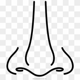 Thumb Image - Nariz Png, Transparent Png - nariz png