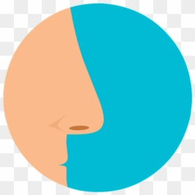 La Nariz, Hombre, Médica, La Sinusitis, Alergia, Limpia - Sinus Infection, HD Png Download - nariz png