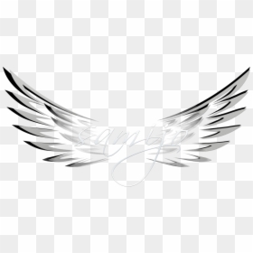 Illustration, HD Png Download - speedwagon png