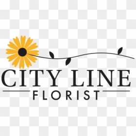 Logo For City Line Florist Trumbull - African Daisy, HD Png Download - floral lines png