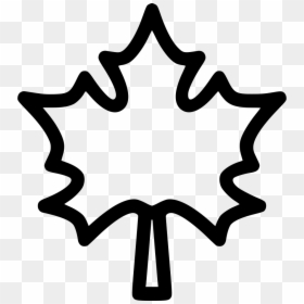 Maple Leaf Leaves Autumn Dry Tree - Maple Leaf Icon Png, Transparent Png - dry leaves png