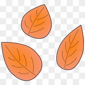 Leaves, Plants, Autumn, Leaf, Tree, Dry, Nature, Flora, HD Png Download - dry leaves png