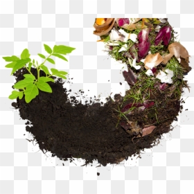 Composting Covering The Basics Transparent Background - Waste Composting, HD Png Download - compost png