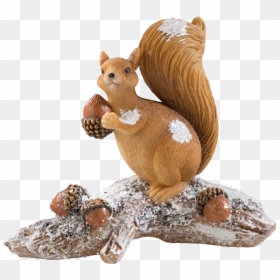 Squirrel With Acorns - Fox Squirrel, HD Png Download - acorns png