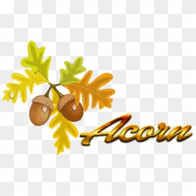 Clip Art Autumn Color Quercus Cerris, HD Png Download - acorns png