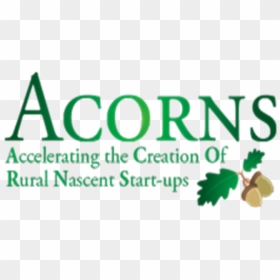 Illustration, HD Png Download - acorns png