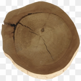 Wood Slice Png Clipart Freeuse Stock - Lumber, Transparent Png - wood slice png