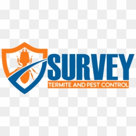 Termite Survey - Data Security, HD Png Download - termite png