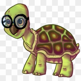 Sea Turtle Tortoise Reptile Animal - Cute Cartoon Turtle With Glasses, HD Png Download - funny glasses png