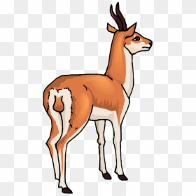 Antelope Clipart Animated - Gazelle Clipart, HD Png Download - gazelle png