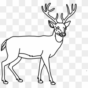 Clip Art Deer Clipart Black And White - Deer Target With Vitals, HD Png Download - deer clipart png
