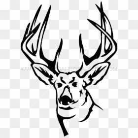 Free Black And White Deer Clipart , Png Download - Deer Clipart Black And White, Transparent Png - deer clipart png