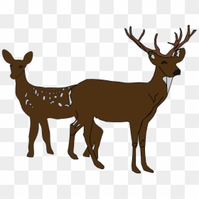 White-tailed Deer Silhouette Clip Art - Hunting Silhouette Clip Art, HD Png Download - deer clipart png