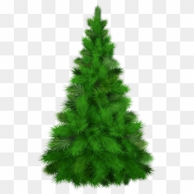Christmas Pine Tree Transparent Png - Transparent Pine Tree Png, Png Download - disney christmas png
