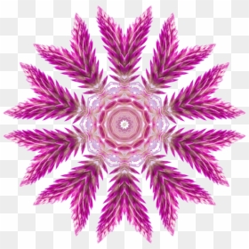 Pink,symmetry,purple - Circle, HD Png Download - pink paint png