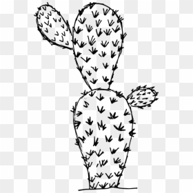 6 Cactus Drawing 4, HD Png Download - cactus drawing png