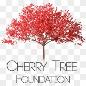Cherry Tree Png - Cherry Blossom Tree Transparent, Png Download - flowering tree png