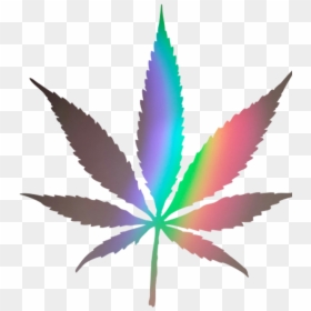 Cannabis Leaf, HD Png Download - weed plants png