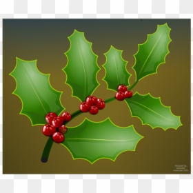 Holly Branch - Christmas Day, HD Png Download - holly branch png
