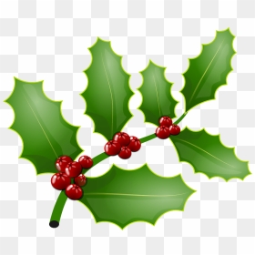 Mistletoe And Holly The Same Thing, HD Png Download - holly branch png
