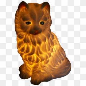 Kitten, HD Png Download - kitty cat png