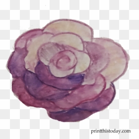 Free Handmade Watercolor Rose Clipart - Floribunda, HD Png Download - watercolor flower wreath png