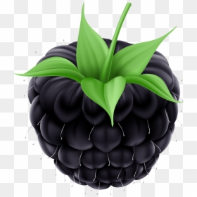 Blackberry Png Clip Art Image , Transparent Cartoons - Blackberry Clipart, Png Download - blackberry fruit png