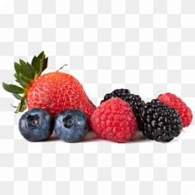 Bramble - Berries Transparent Background, HD Png Download - blackberry fruit png