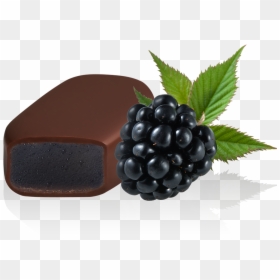 Transparent Black Berry Png, Png Download - blackberry fruit png