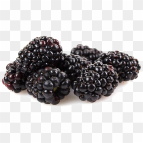 Rubus - Marionberry Png, Transparent Png - blackberry fruit png