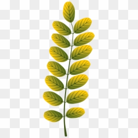 Herbst Clipart Kostenlos Blätter, HD Png Download - 123 png