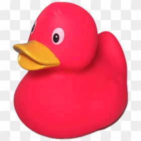 Rubber Duck Png Transparent Image - Red Rubber Duck Png, Png Download - rubber png