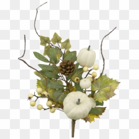 16, HD Png Download - white pumpkin png
